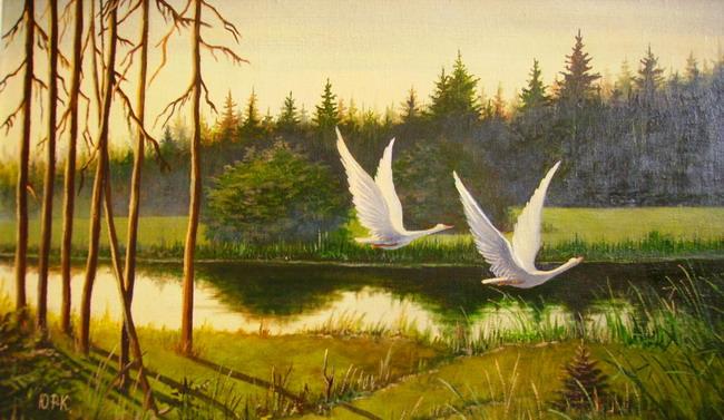 Два лебедя взлетают рано утром над лесным озером