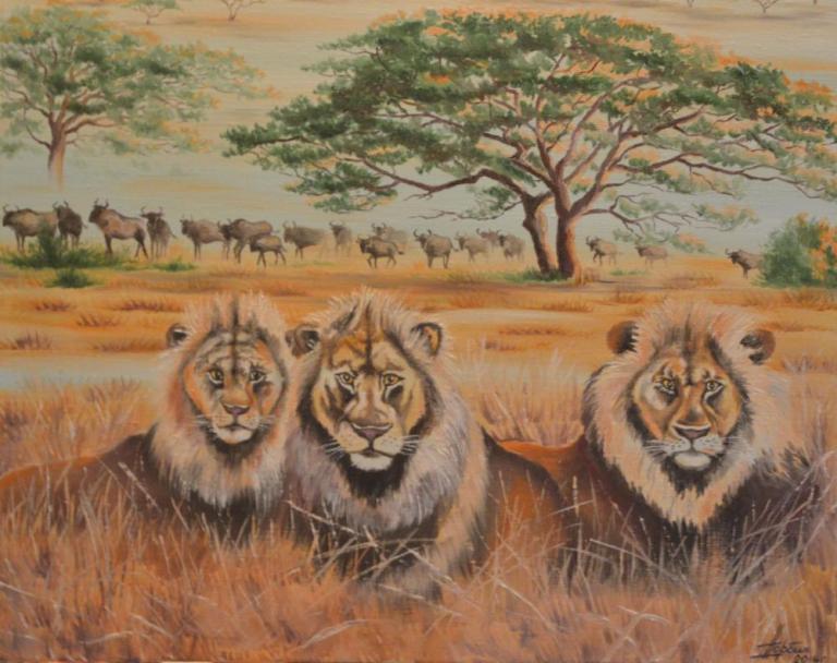 Африка. Львы.
